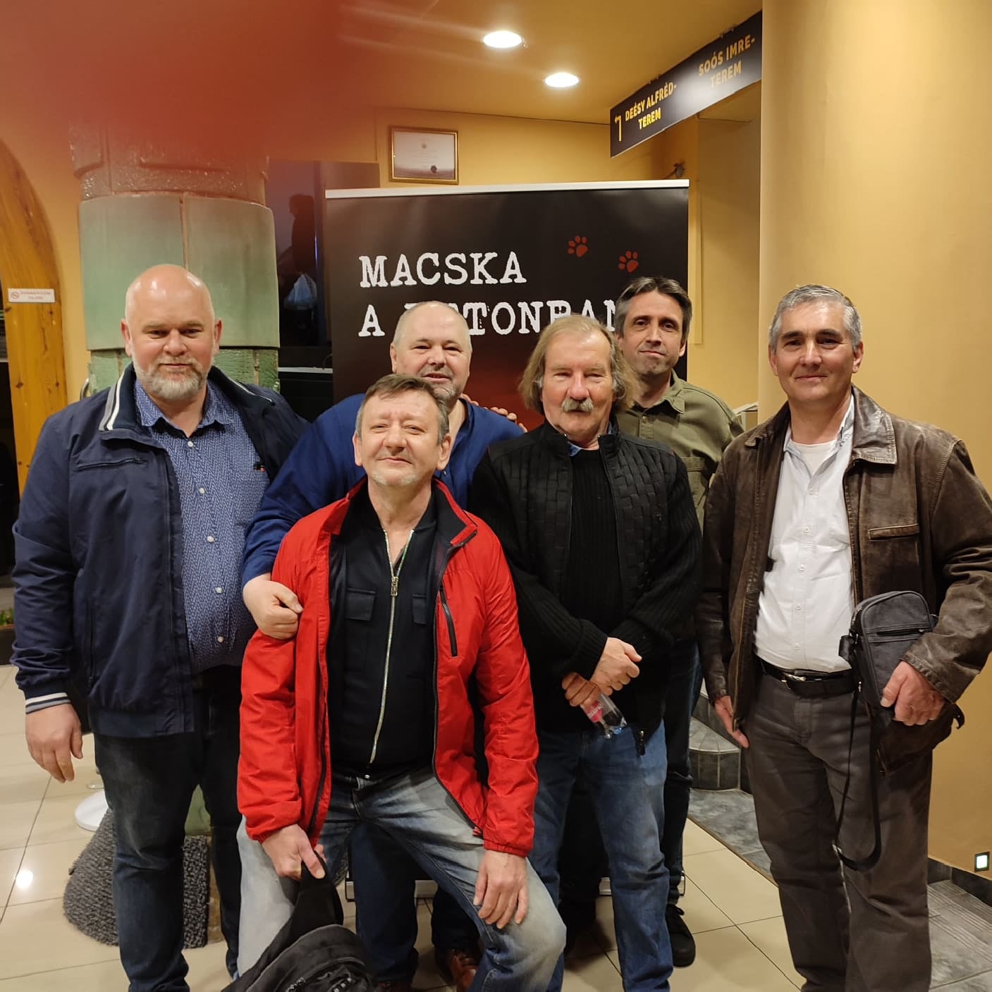 Macska a betonban vetítés galéria - 01